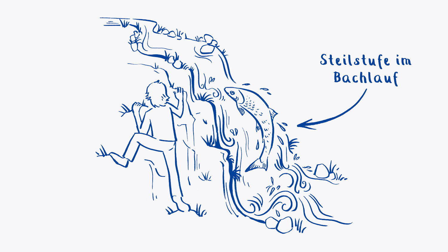 Fortbewegung entlang dem Gewässer - Neubesiedlung